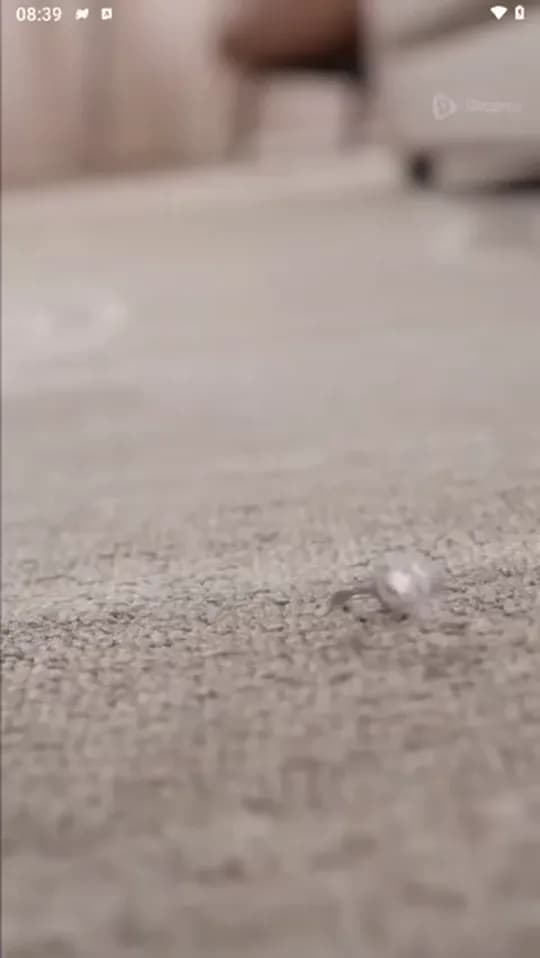 Miniatura da Parte 11 de Ele Não é Seu Marido