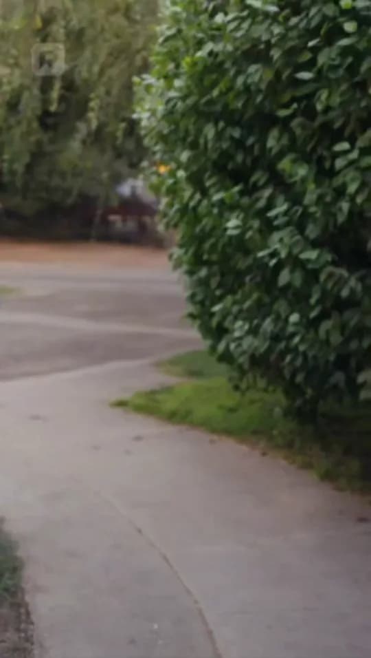Miniatura da Parte 14 de Meu Ex-Marido Bombeiro Arde em Arrependimento